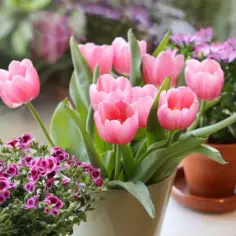 Domowe tulipany DIY: Magiczne sposoby na piękne kwiaty bez wysiłku