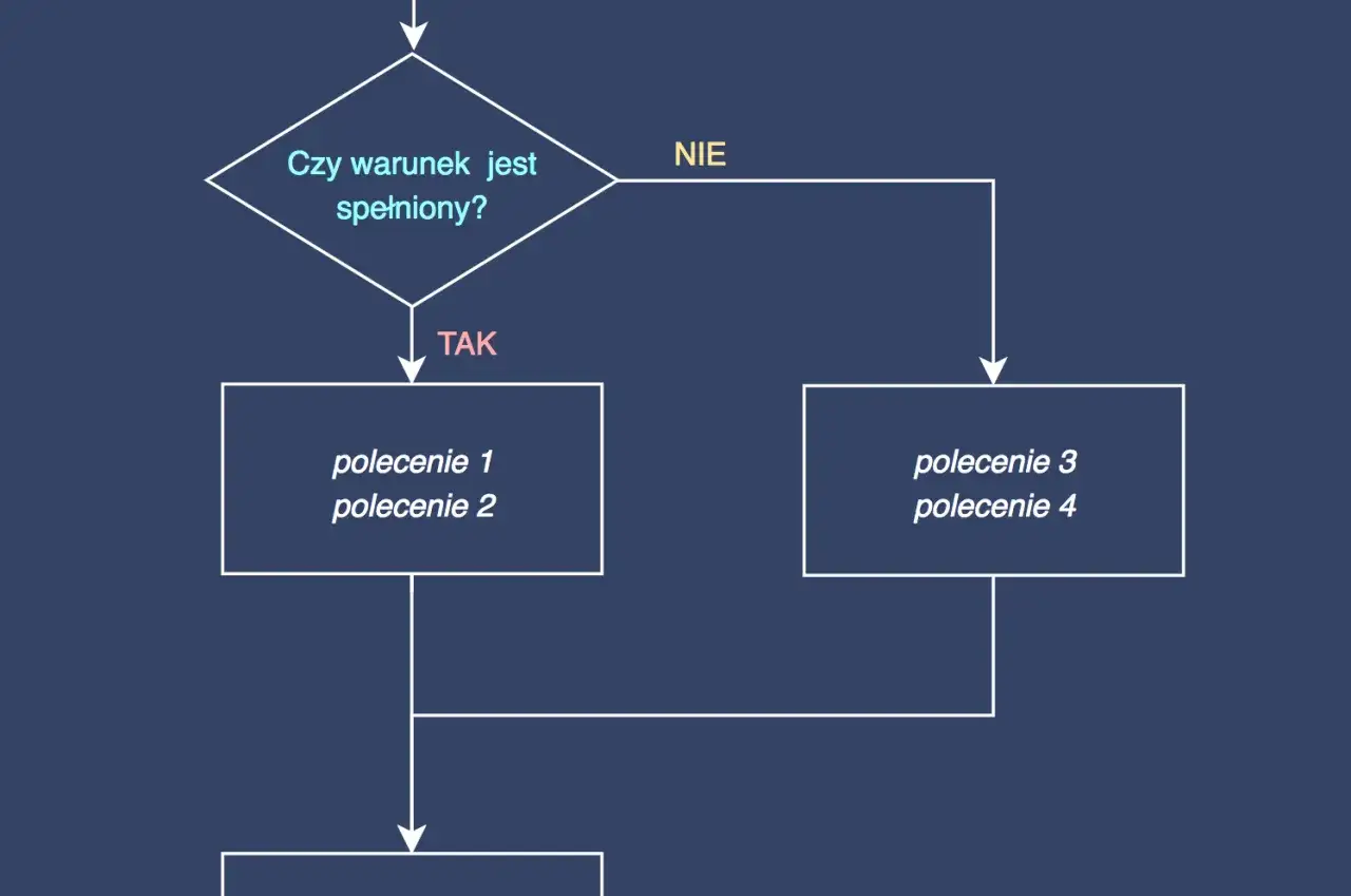 Zdjęcie Instrukcja warunkowa: magiczny klucz do zrozumienia programowania bez stresu